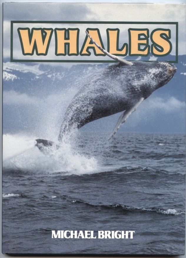 Whales by Michael Bright Published 1985