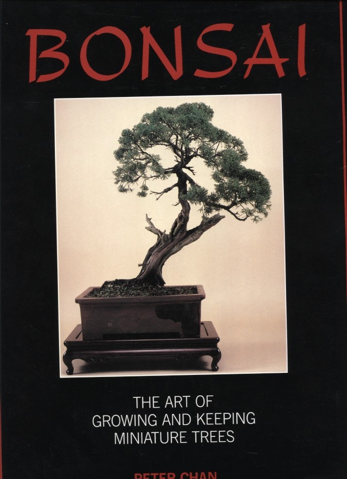 Bonsai The Art Of Growing and Keeping Miniature Trees by Peter Chan Published 1985