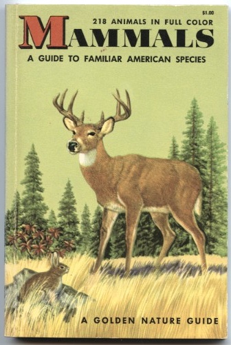 Mammals A Guide to Familiar American Species by Herbert Zim and Donald Hoffmeister Published 1955