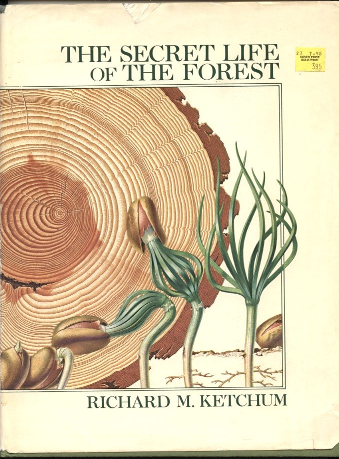 The Secret Life Of The Forest by Richard Ketchum Published 1970