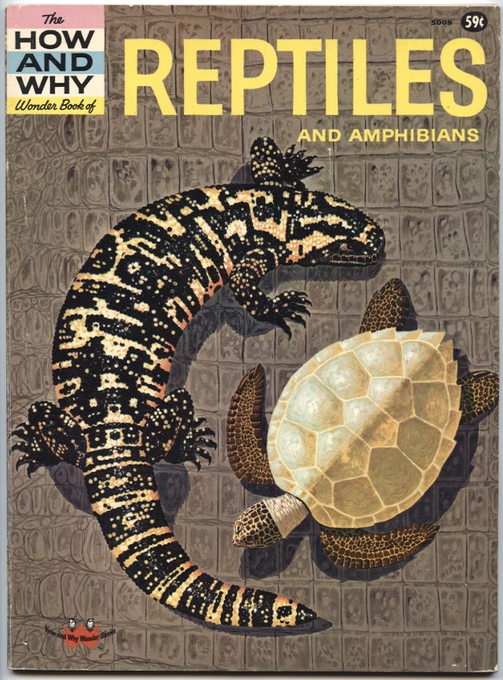 Reptiles and Amphibians by Robert Mathewson Published 1960