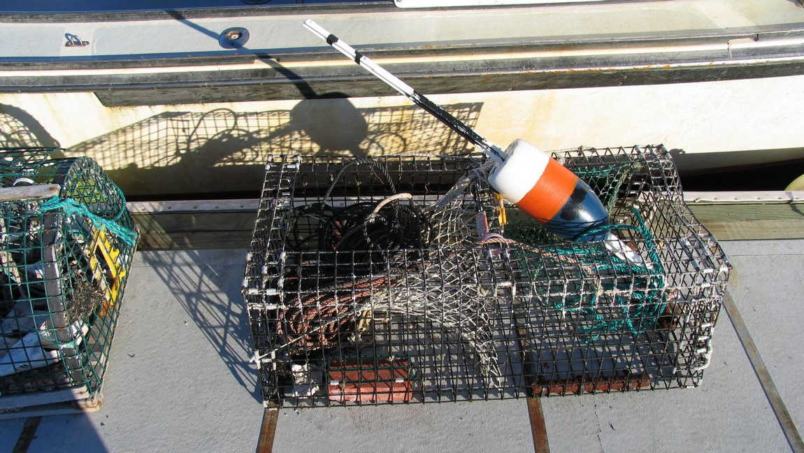 Lobster trap