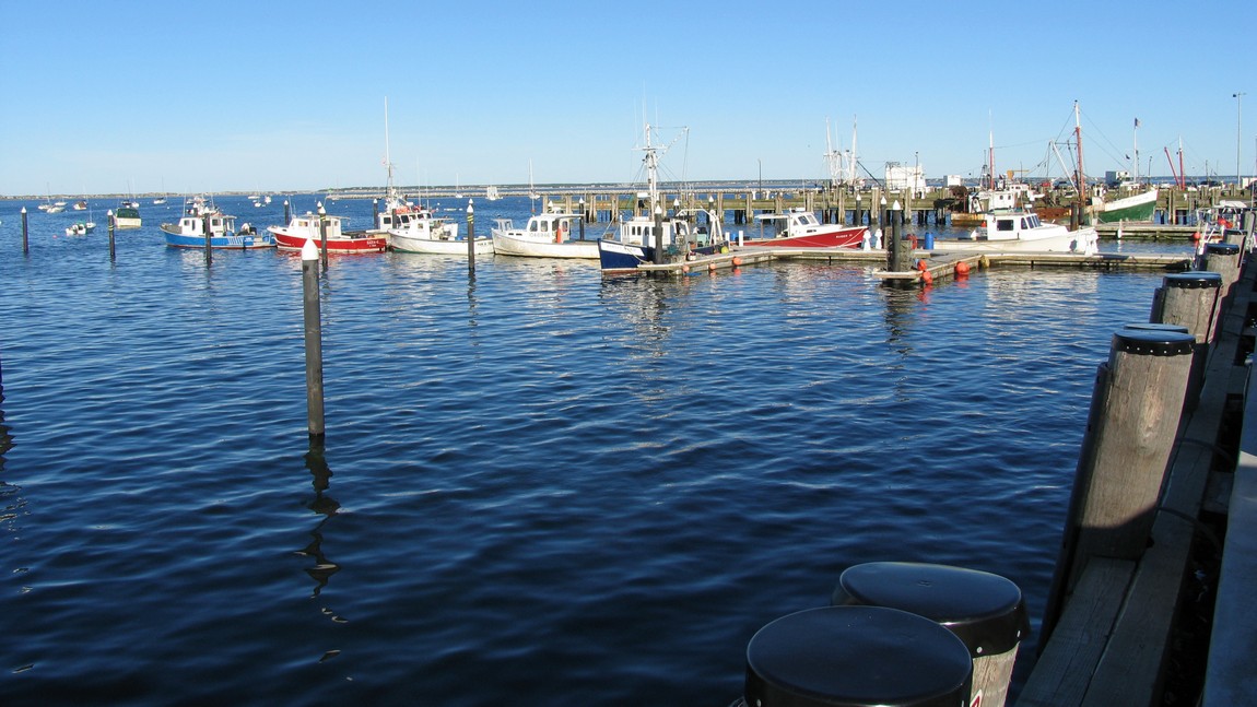 Assorted fishing vessels