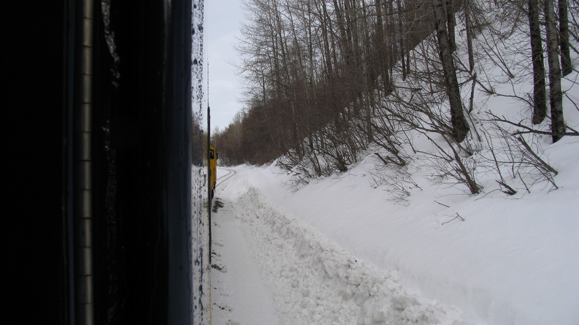 Riding the train