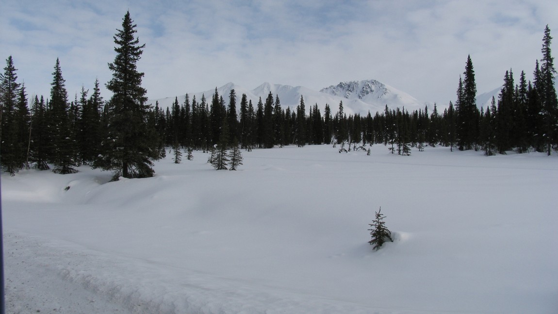 Approaching the Parks Highway