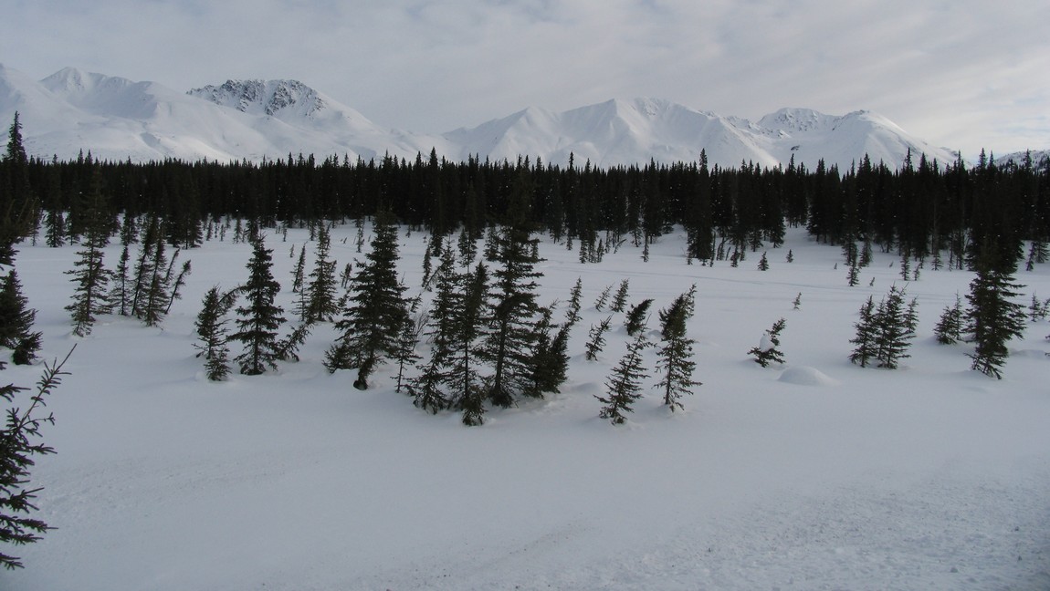 Approaching the Parks Highway