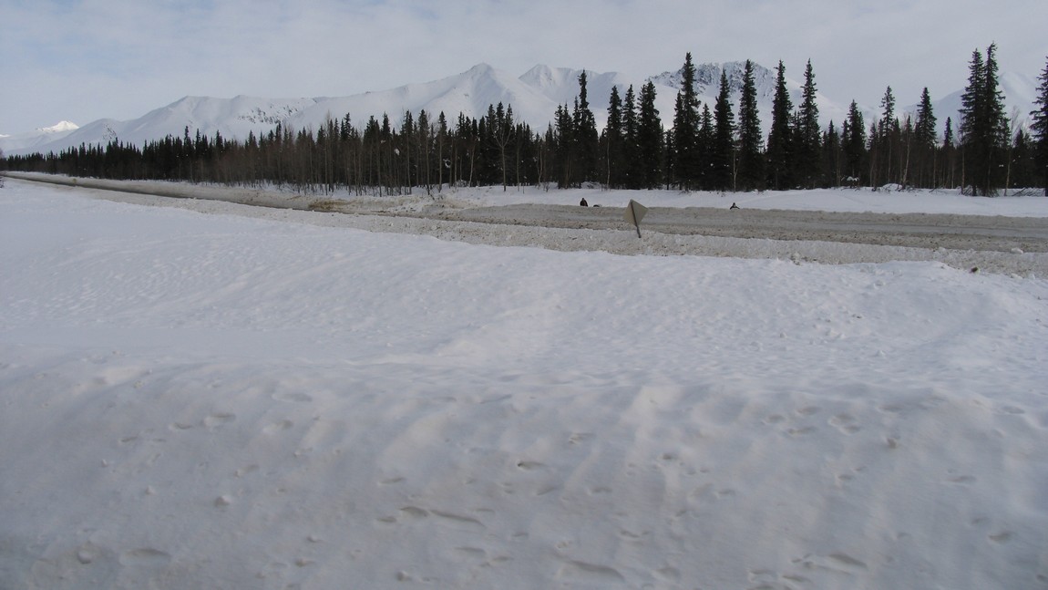 Crossing the Parks Highway