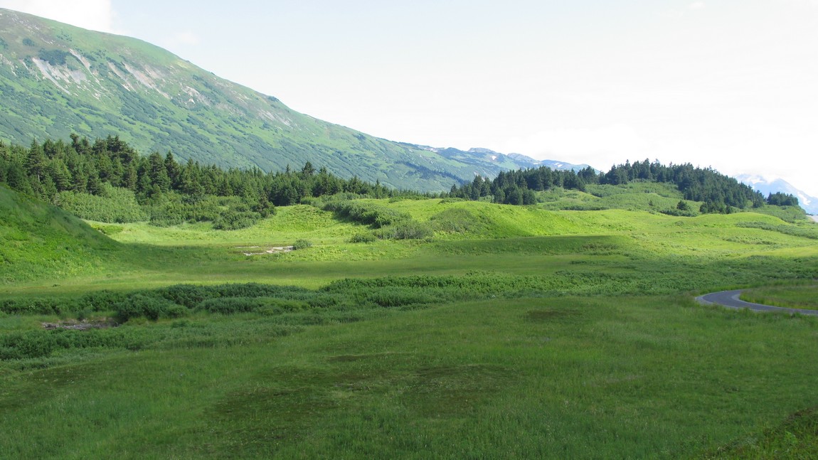 Turnagain Pass