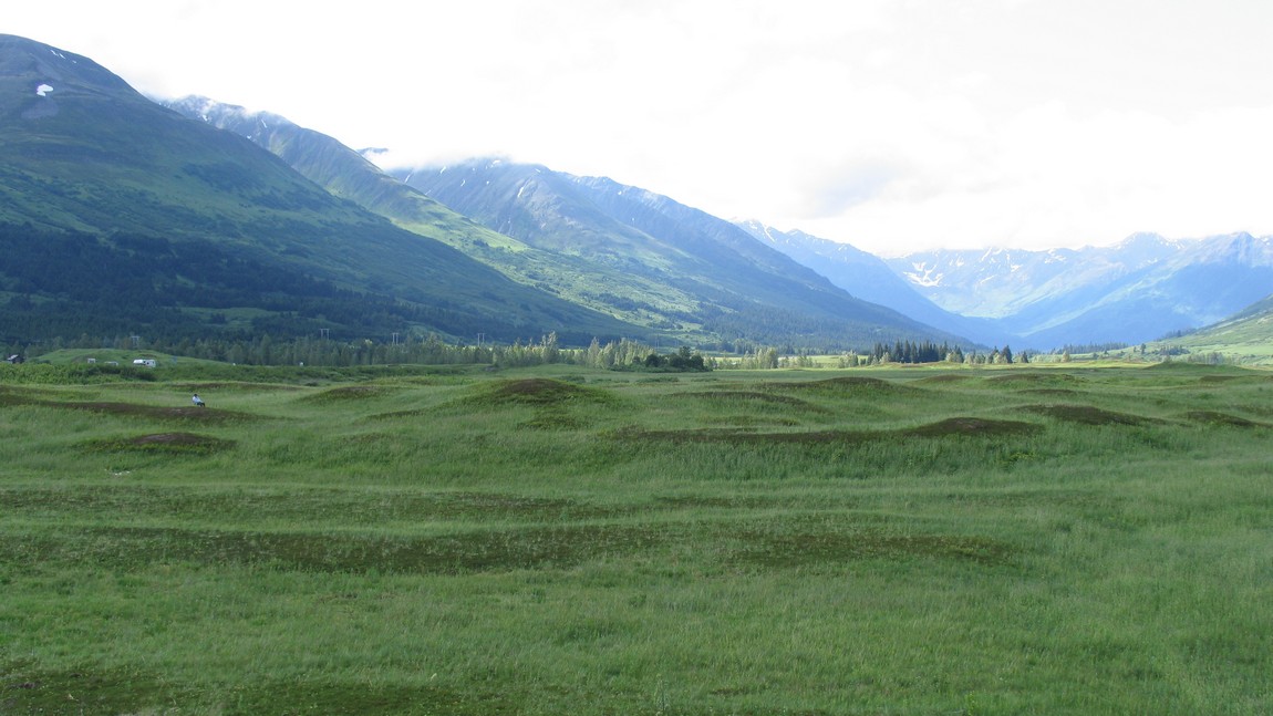 Turnagain Pass