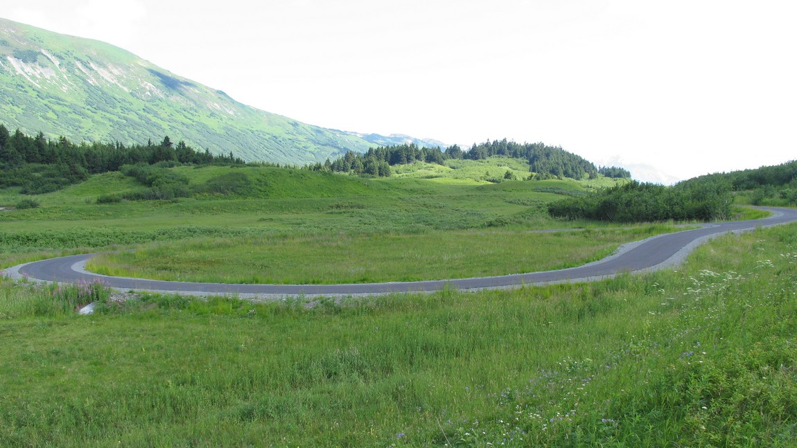 Bicycle trail in Turnagain Pass