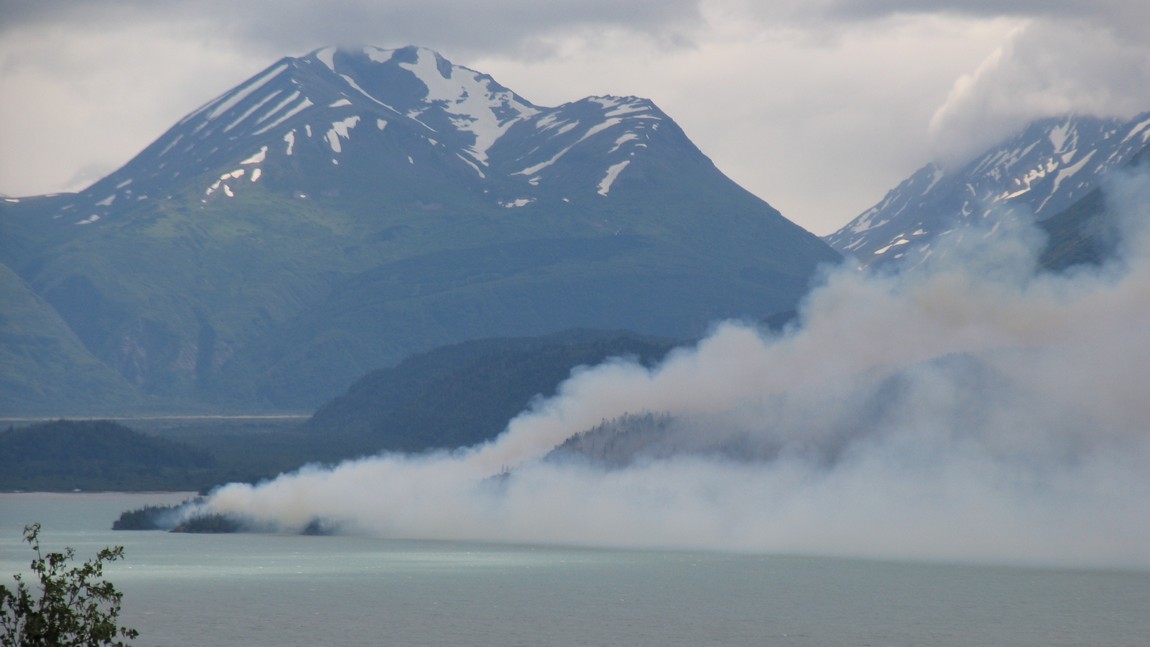 Forest fire