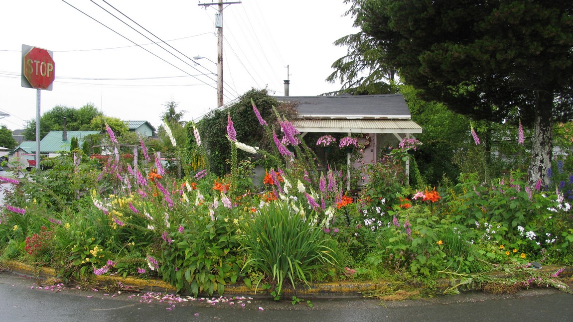 Flower bed in Sitka