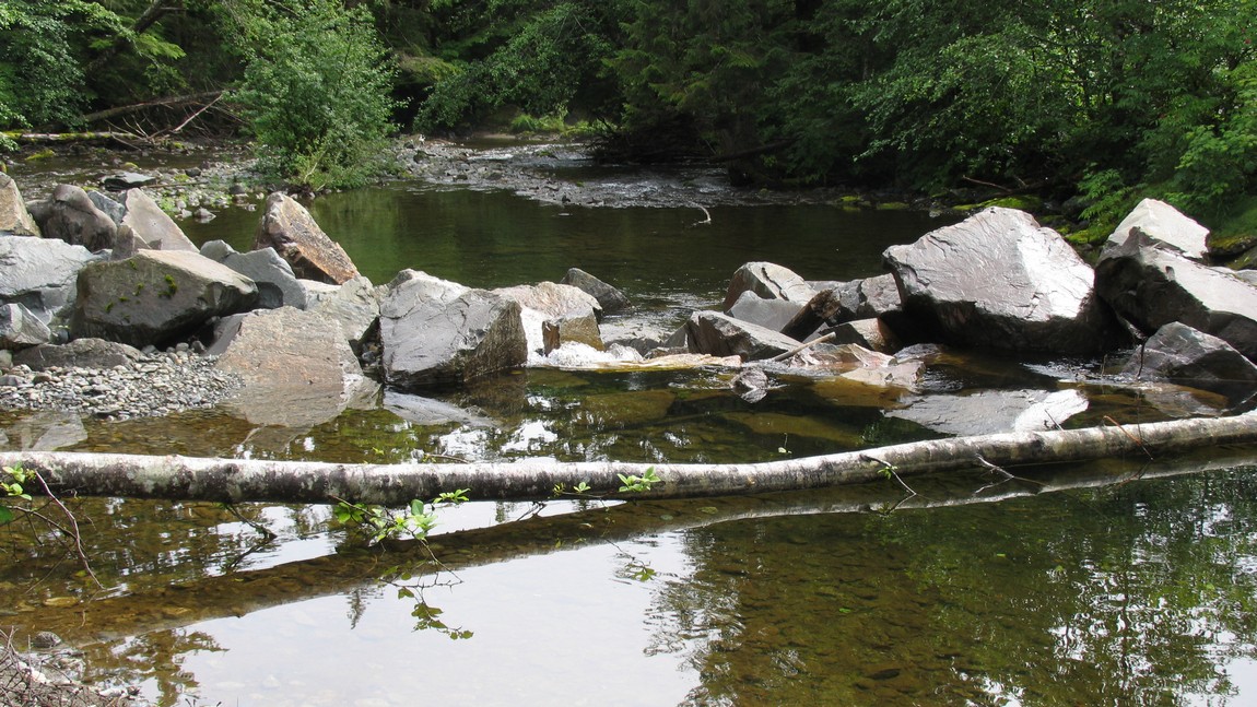 Walking trail