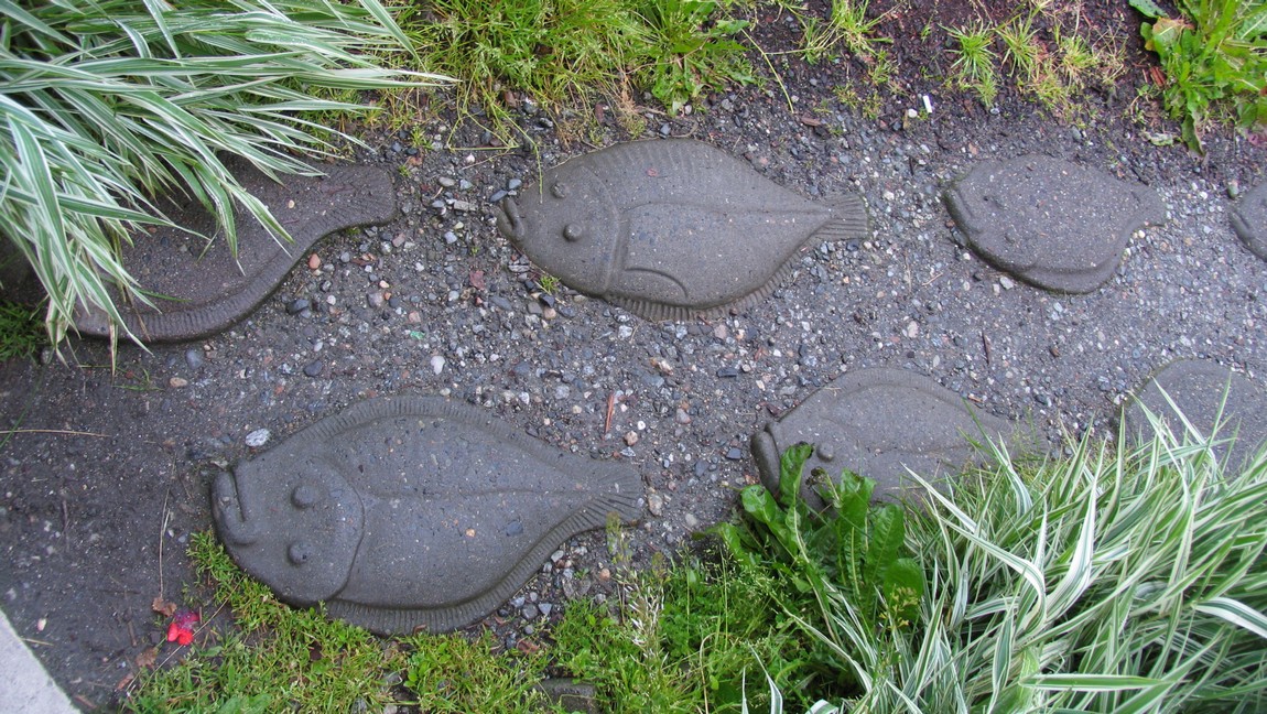 Halibut stepping stones