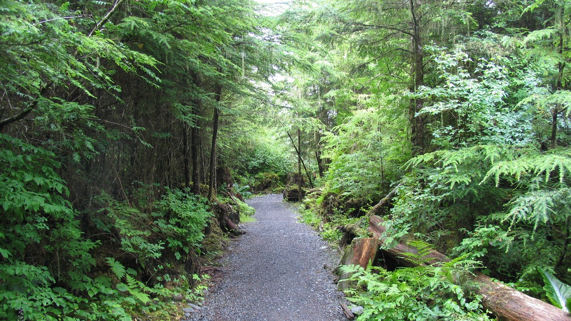 Hungry Point trail