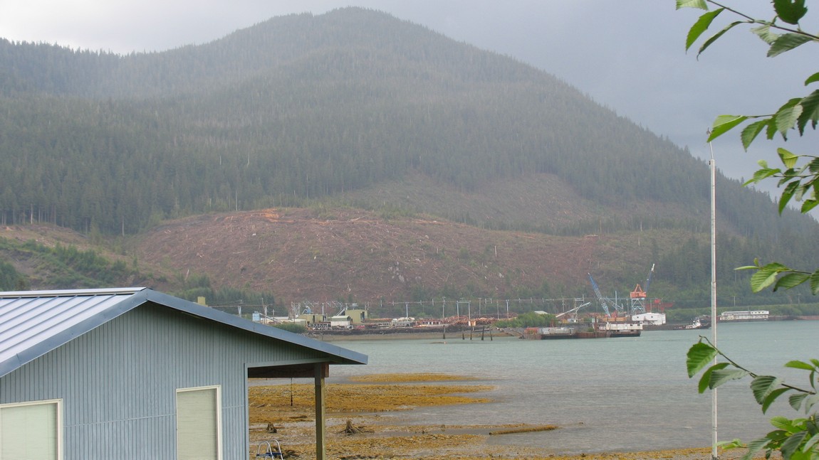 Hillside logging operation