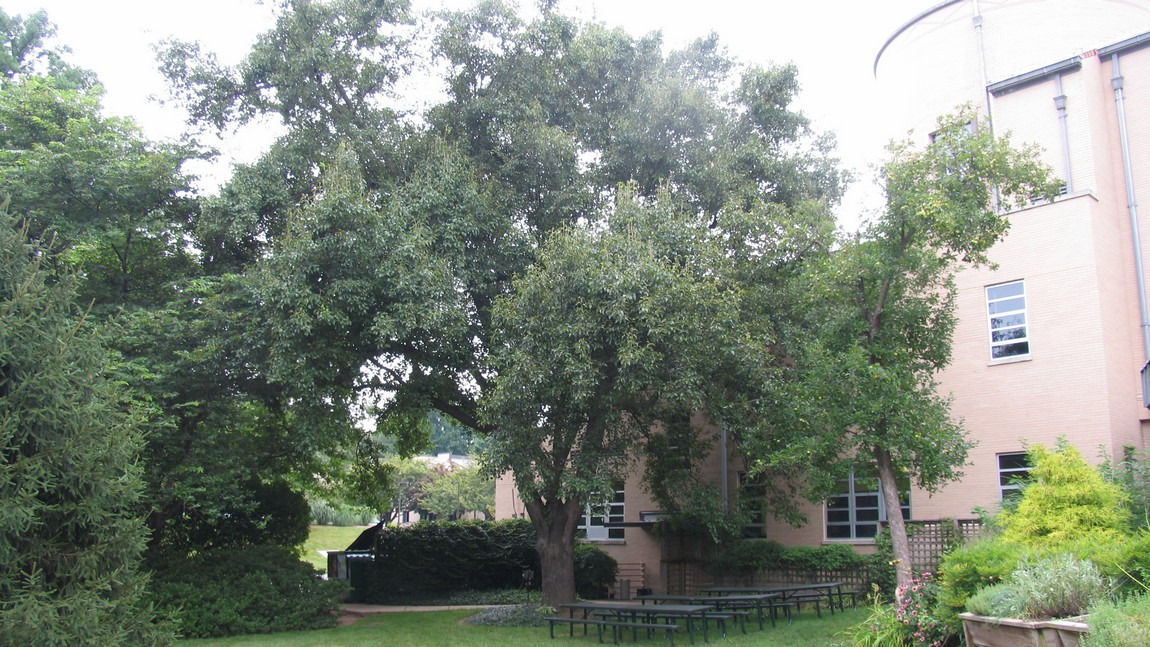 Labels on the pillows