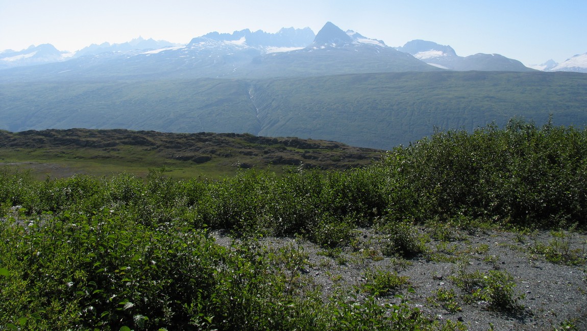 Thompson Pass