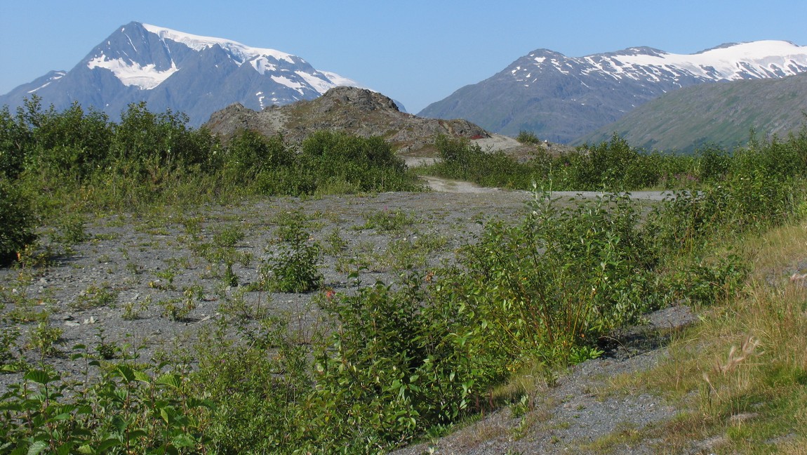 Thompson Pass