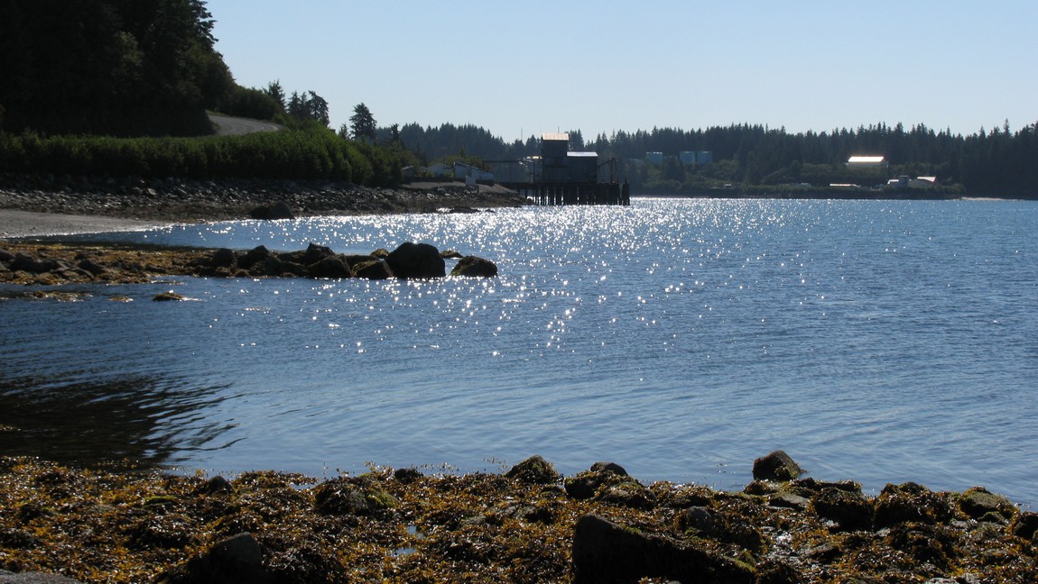 Coastline in Yakutat