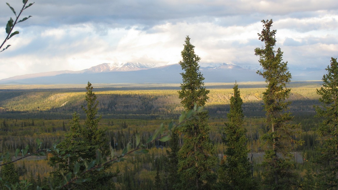 View from the Copper River Princess