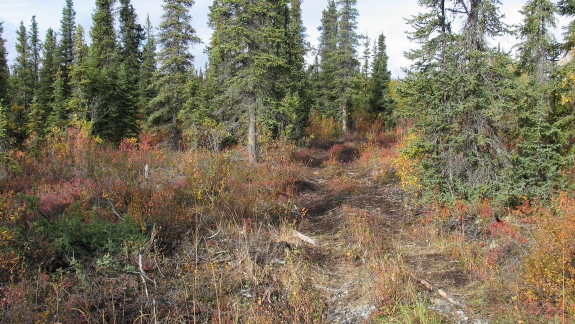 Snowmobie trail