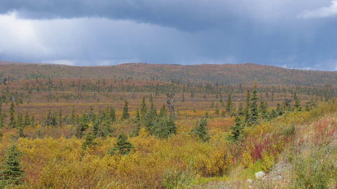 Fall colors in Eureka