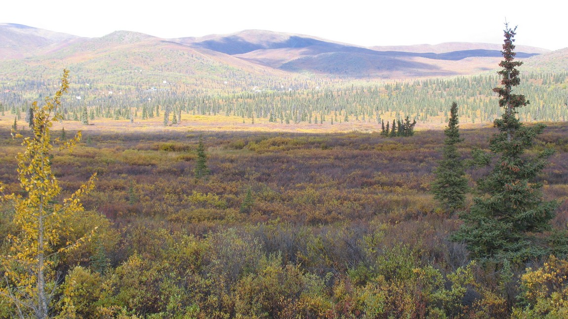 Fall colors in the Eureka area