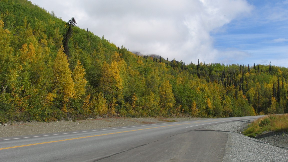 Fall colors near Sutton
