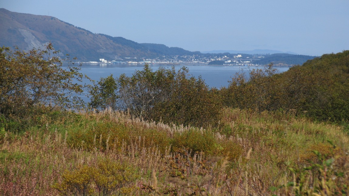 Chiniak Highway across from Kodiak