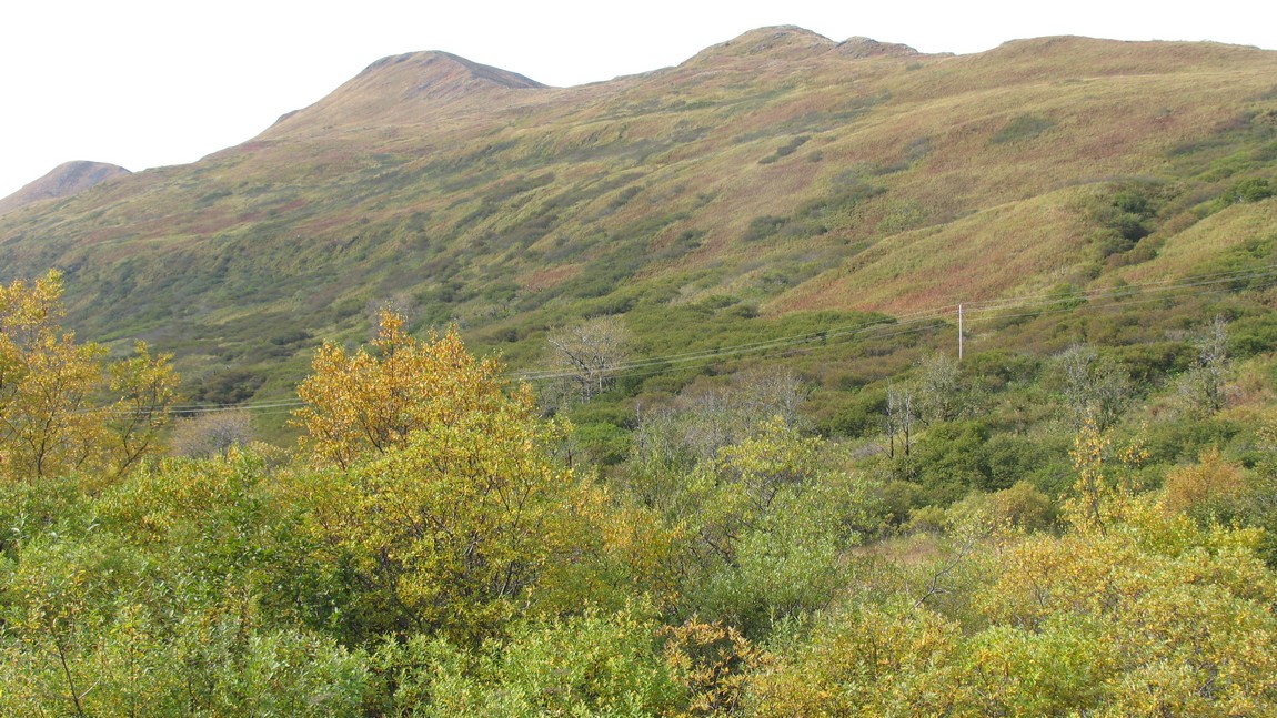 Driving on the Chiniak Highway