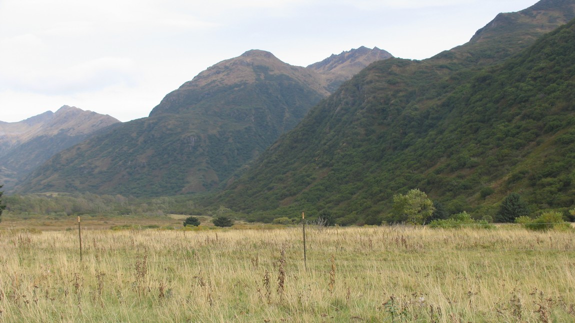 Farm near Fossil Beach