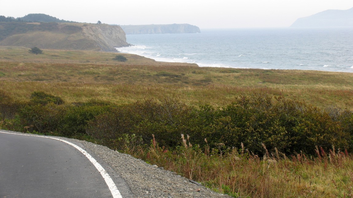 Fossil Beach