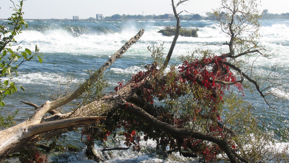 View of the Niagara River
