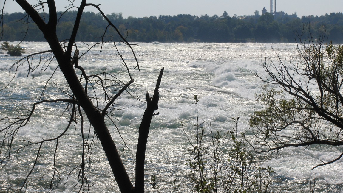 View of the Niagara River