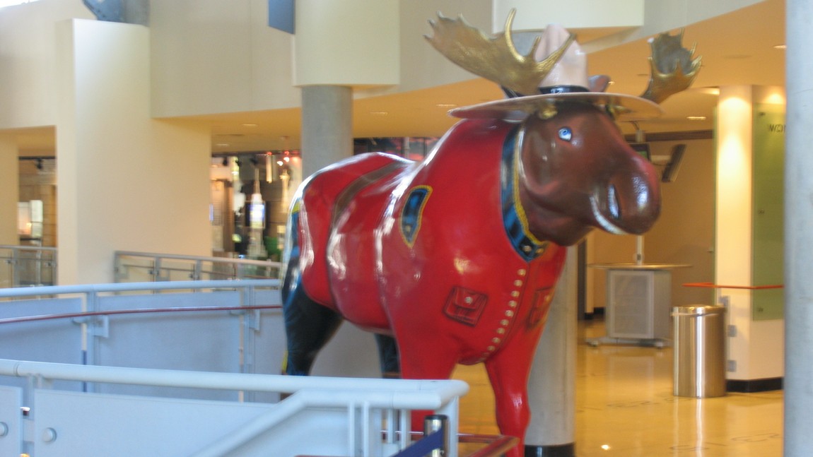 Moose dressed as Police
