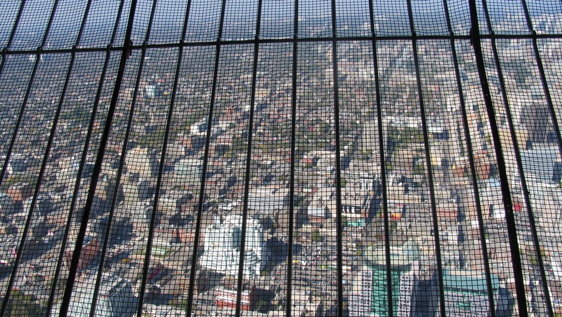 Looking out from the CN tower
