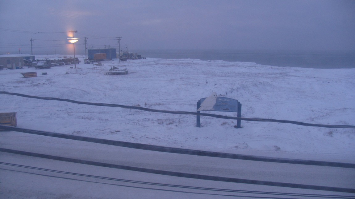 Looking out the window