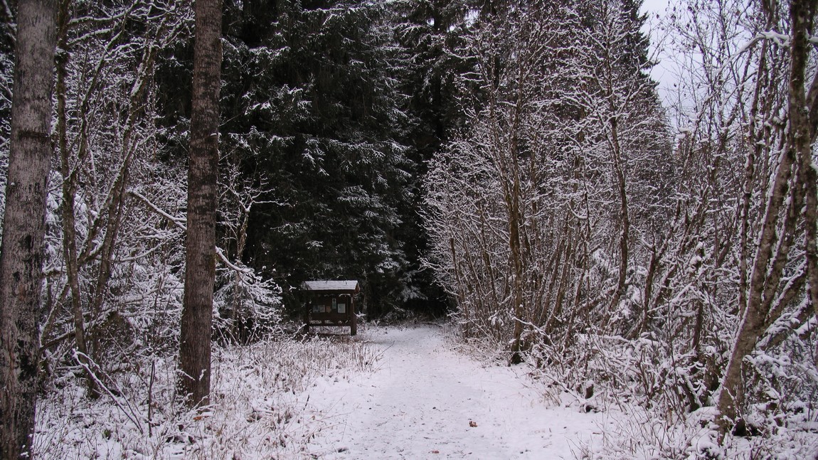 Eagle Beach State Recreation Area