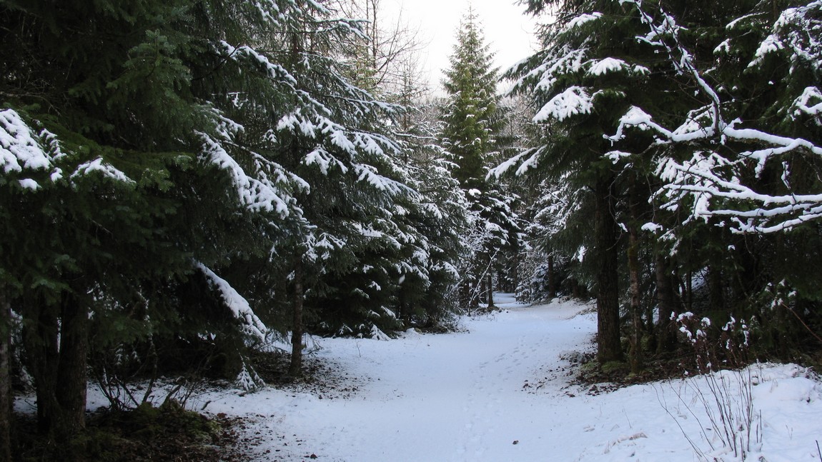 East Glacier Loop Trail