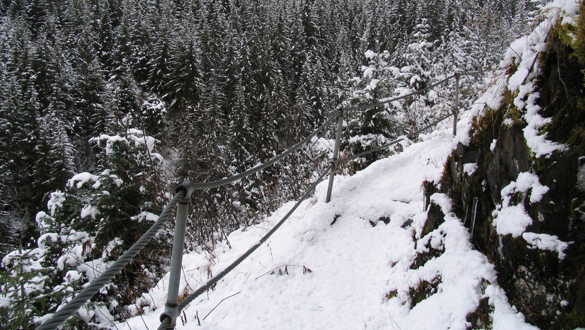 Happy there is a railing