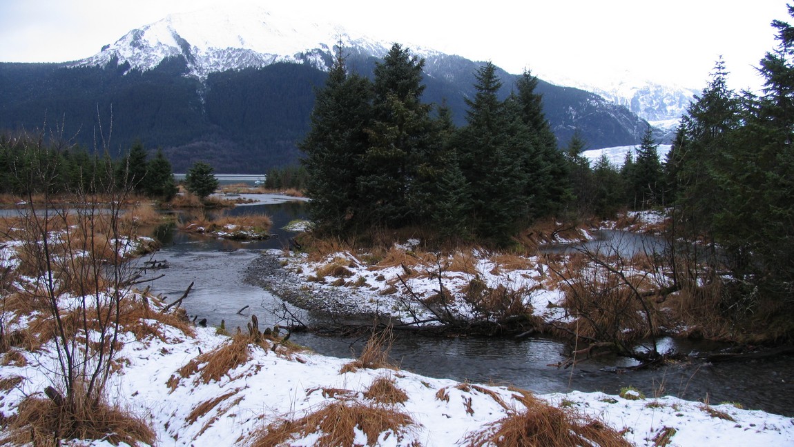 Near the Mendenhall Glacier