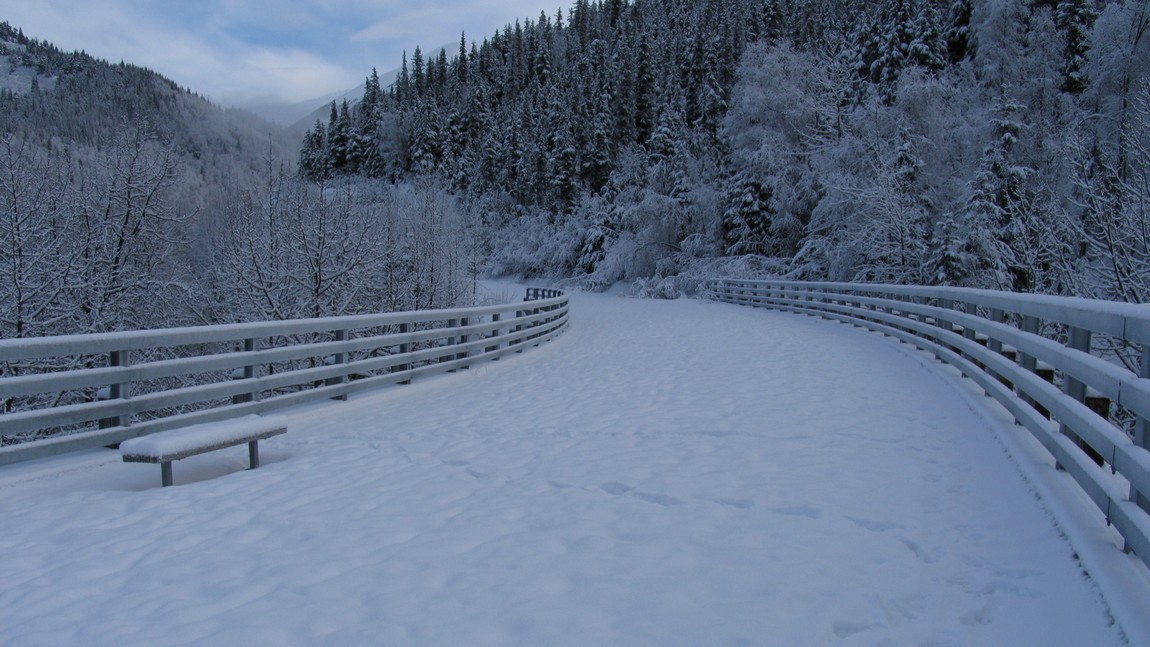 Bridge over Canyon Creek
