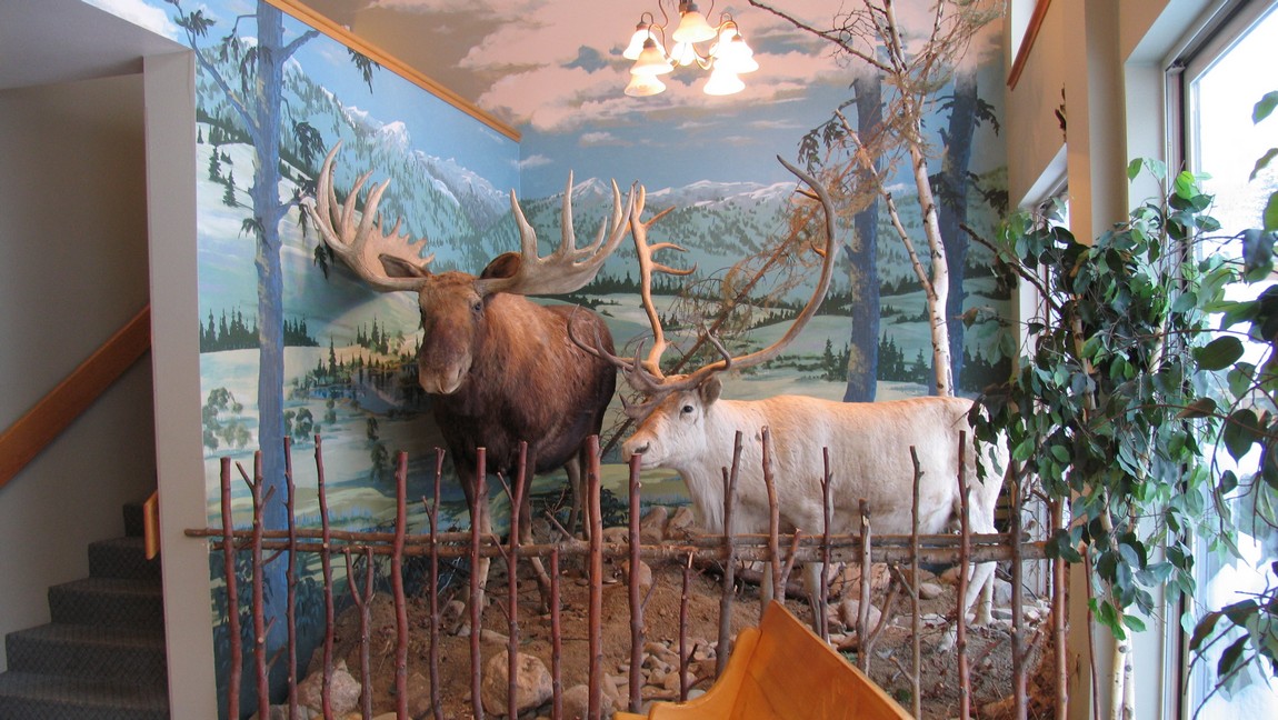 Display in the Aurora Lodge