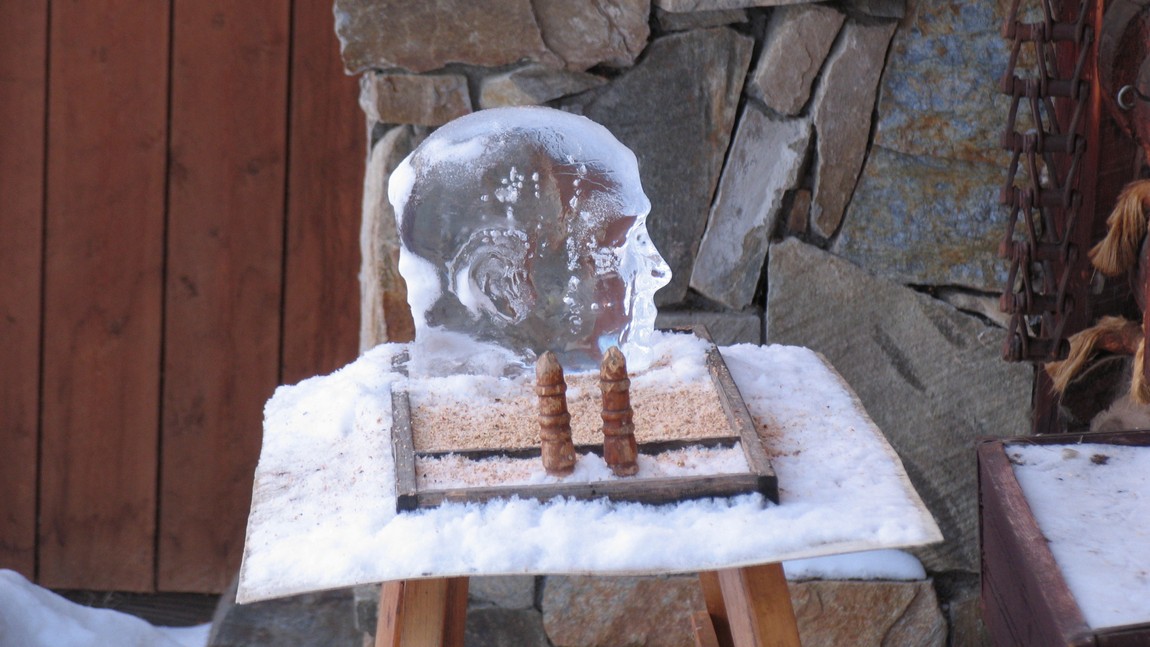 Bird feeder with ice head