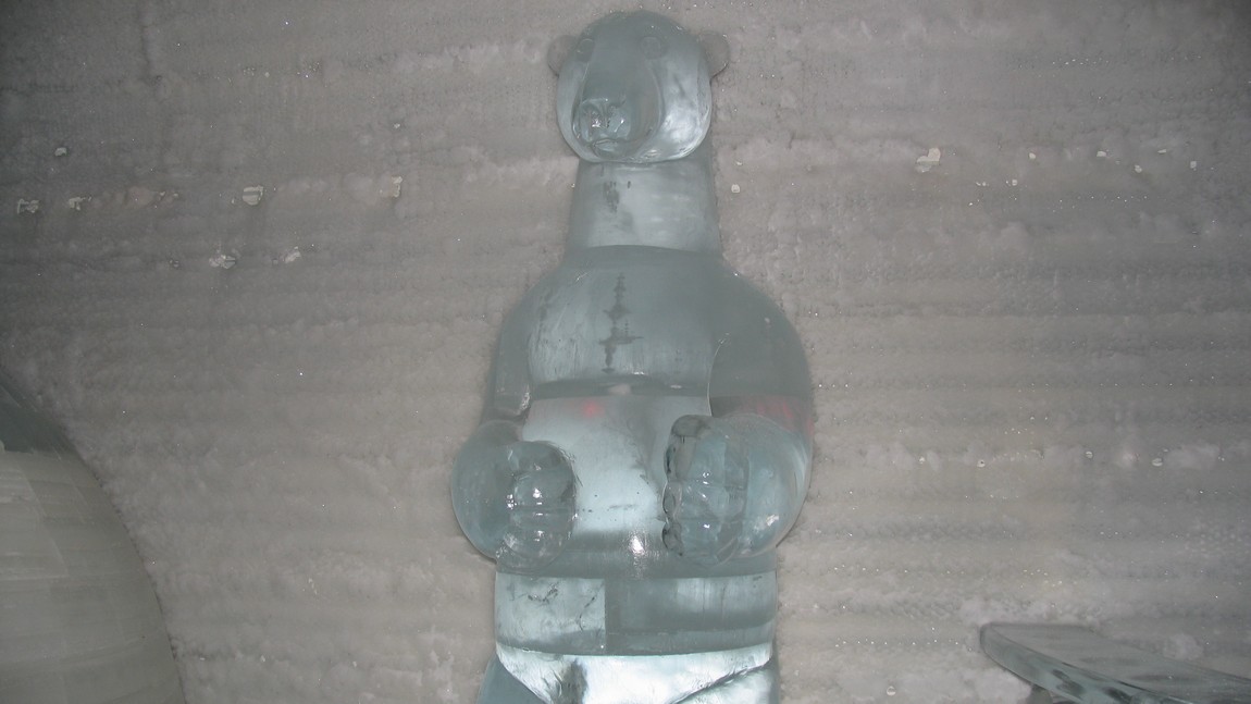 Bear in the Ice Hotel