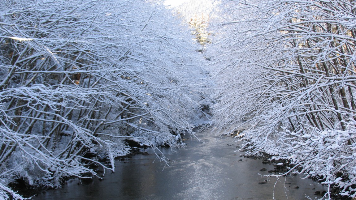 Sitka Historical Park