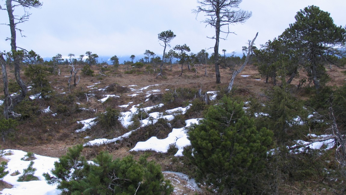 Hungry Point Trail