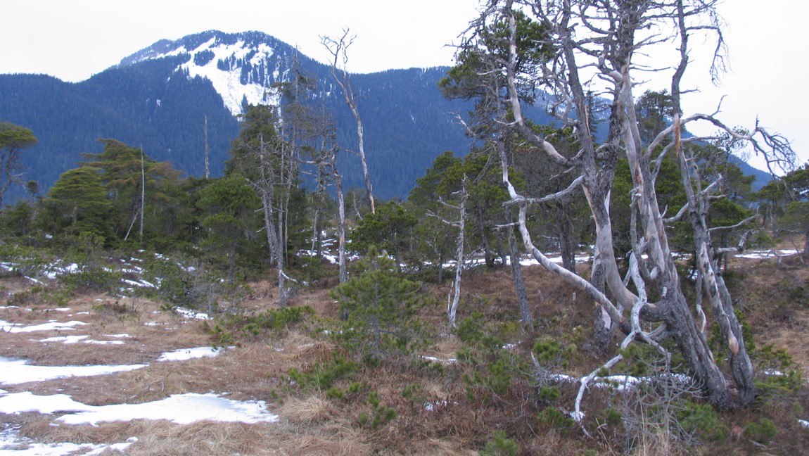 Hungry Point Trail