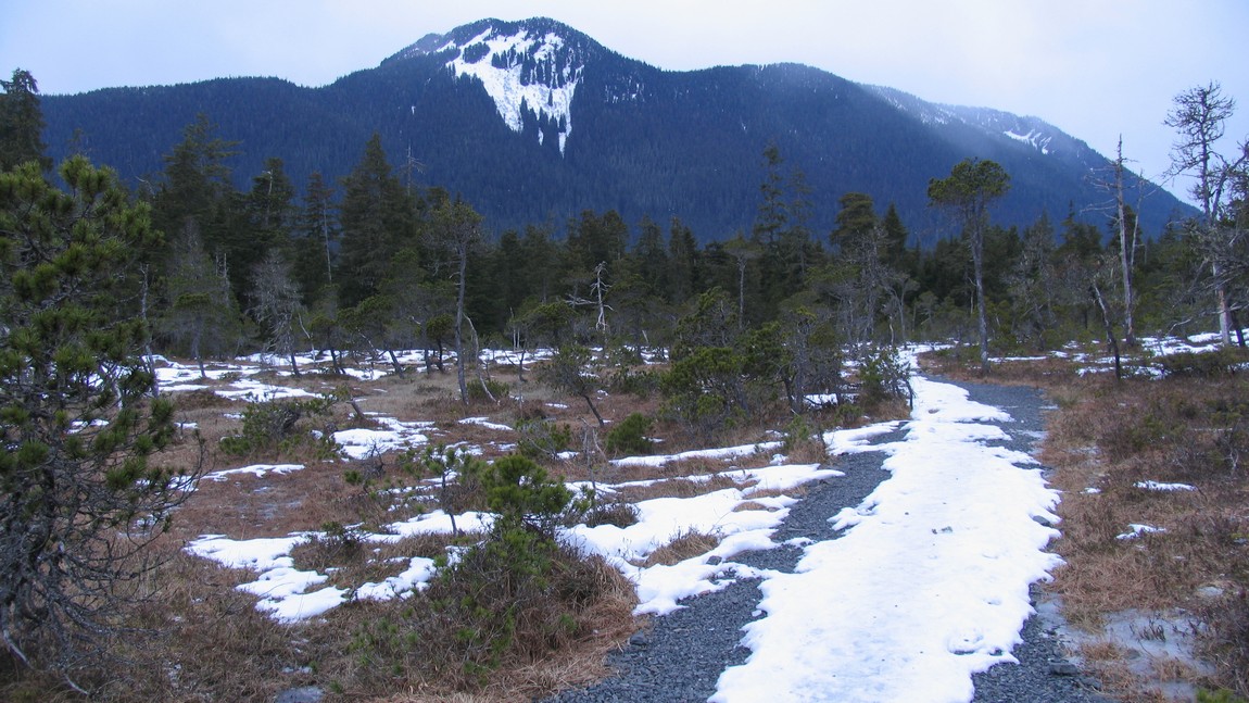 On Hungry Point Trail